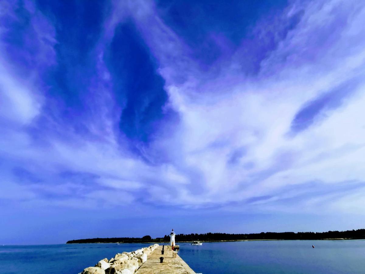 Lora Deluxe Superior 5 Star Apartment, Your Piece Of Heaven By The Sea & Park With Sea & Park View Novigrad Istria 外观 照片