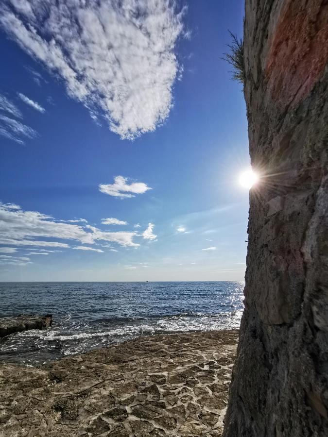 Lora Deluxe Superior 5 Star Apartment, Your Piece Of Heaven By The Sea & Park With Sea & Park View Novigrad Istria 外观 照片